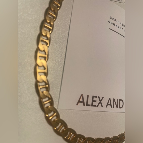 New Alex and Ani 15 inch Raphaelian Gold Chain Link Magnetic Clasp Necklace - Picture 1 of 4